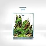 Aquael Garnelen-Set SMART D&N 20 Weiss ECOM